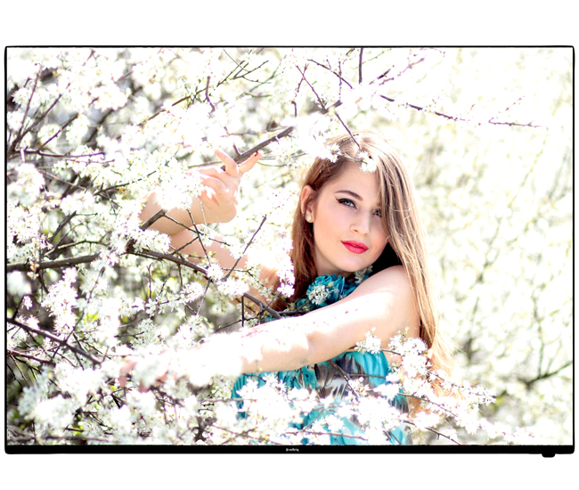 Voltriq 49 Inch 4K LED TV With 3 Years Warranty - Image 3