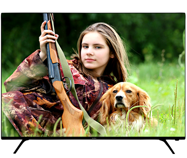 Voltriq 49 Inch 4K LED TV With 4 Years Warranty - Image 2