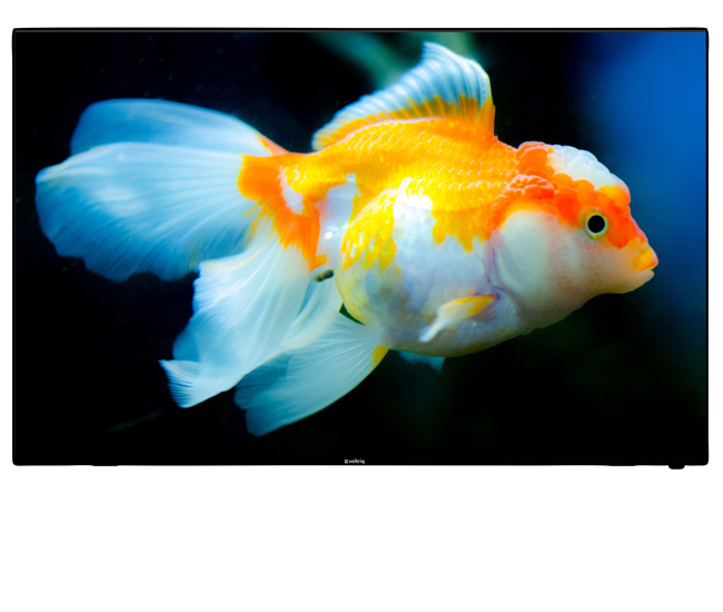 Voltriq VI5010LFD - Image 3