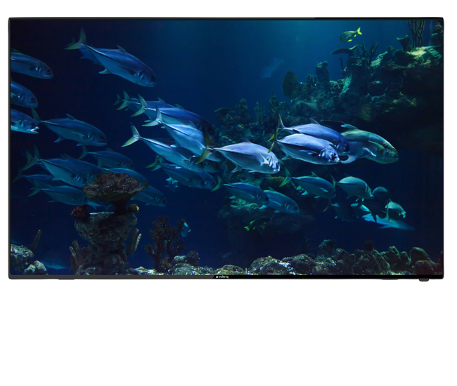 Voltriq LED TV 49 Inch (UHD) VI981 With 1 Year Warranty - Image 3