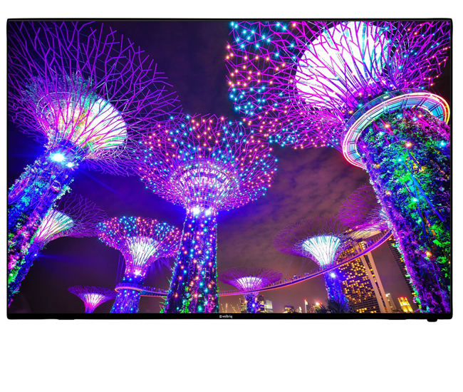 Voltriq LED TV 49 Inch VI981 With 1 Year Warranty - Image 3